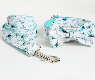 Colorway Botanical Leash & Collar Set