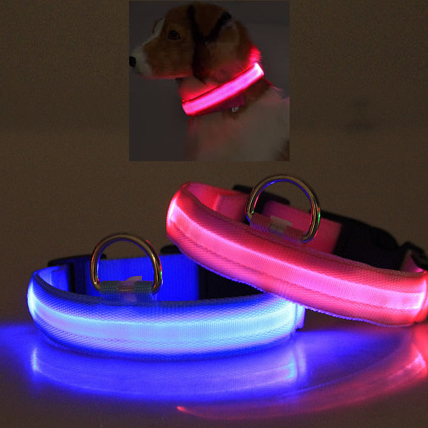 LED Glow Safety Collar | Rechargeable Night Visibility
